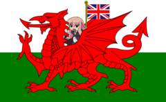 本当に英国で紹介された新国旗案